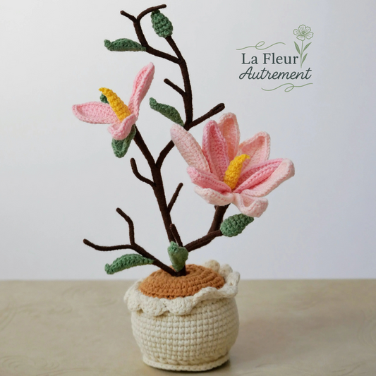 Magnolia