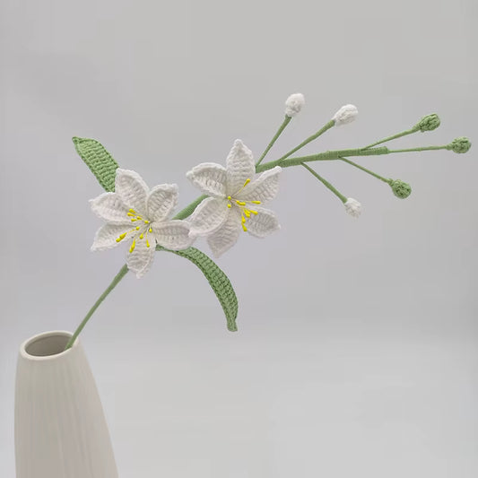 Tige d'orchidée Star-Fire