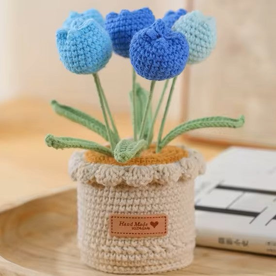 Tulipes