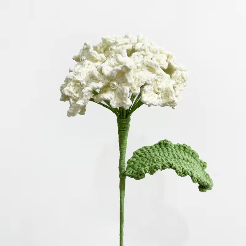 Hortensia