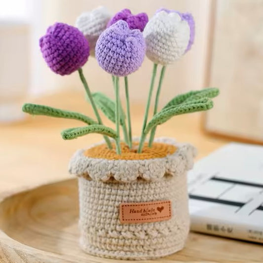 Tulipes