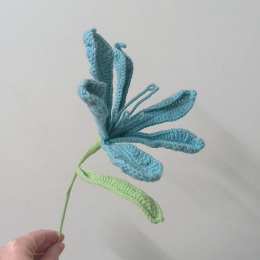 Lys péruvien colorés