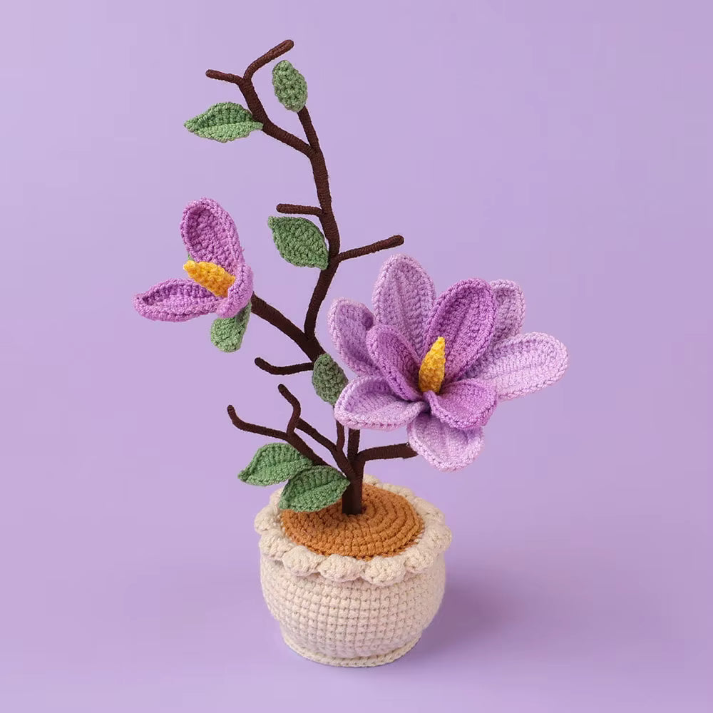 Magnolia