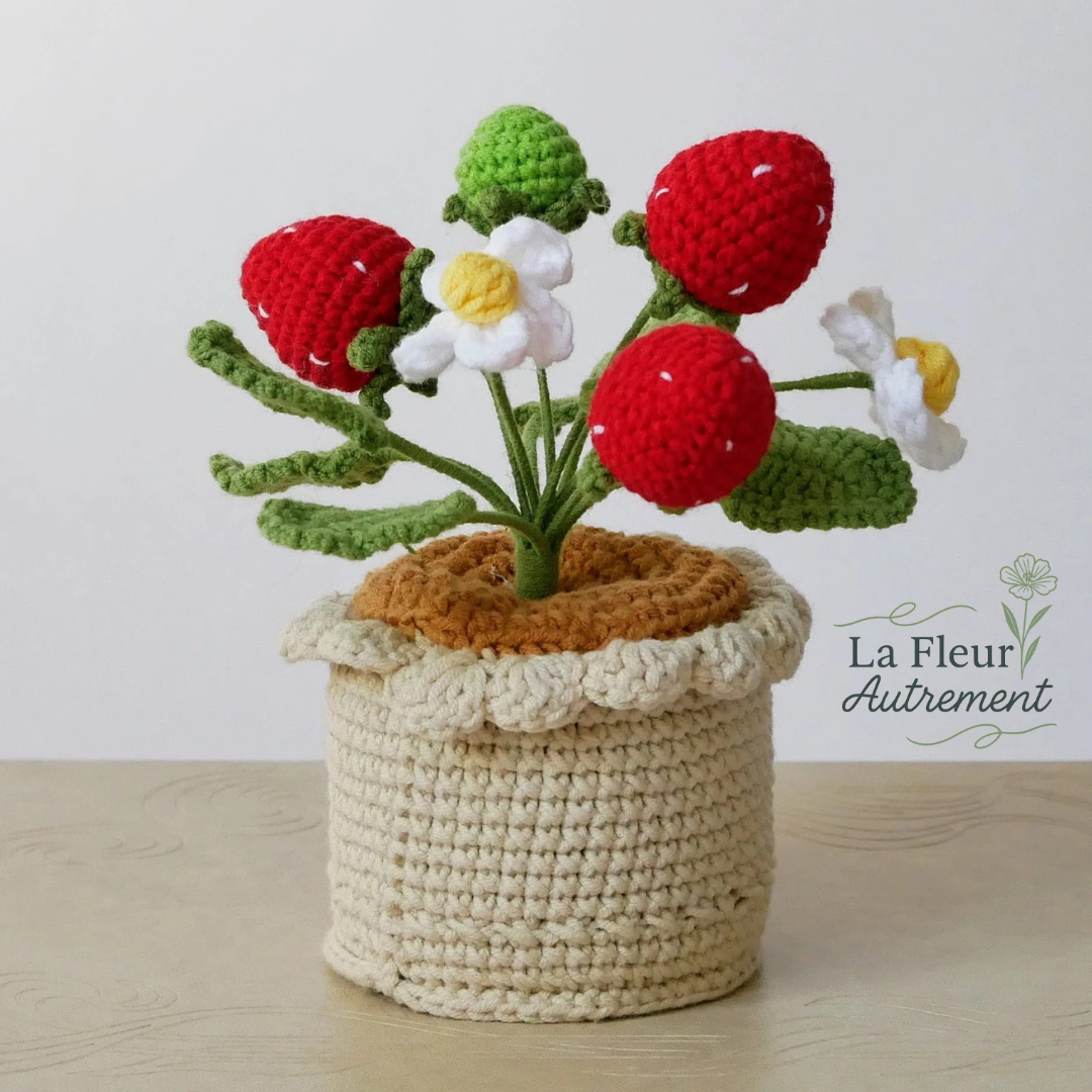 Fraises