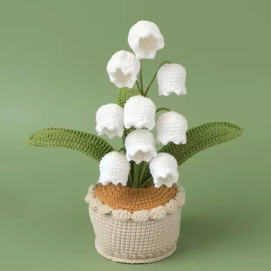 Muguet en pot