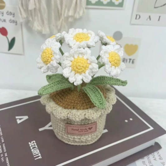 Marguerites