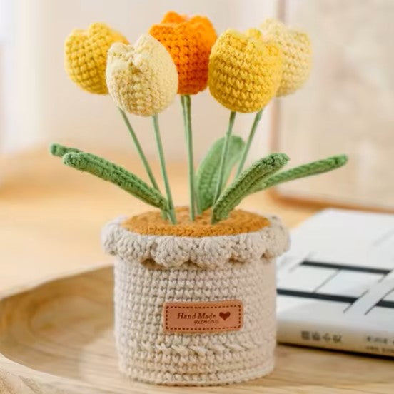 Tulipes