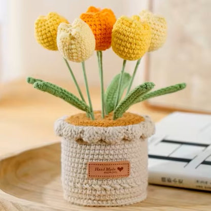Tulipes