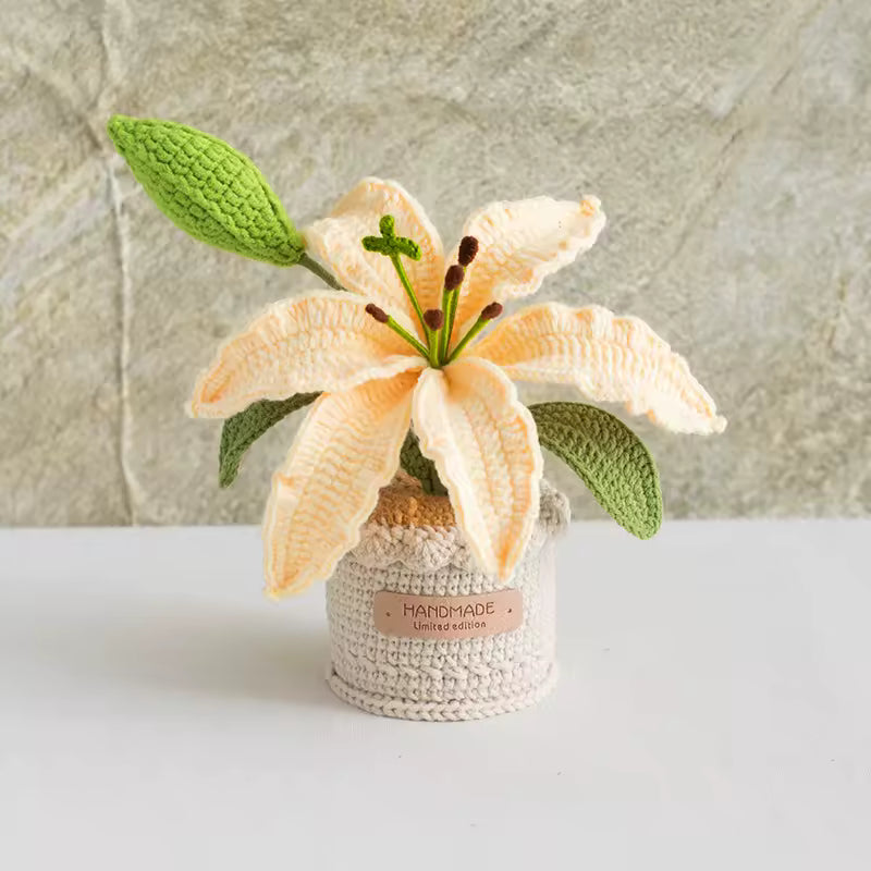 Lys