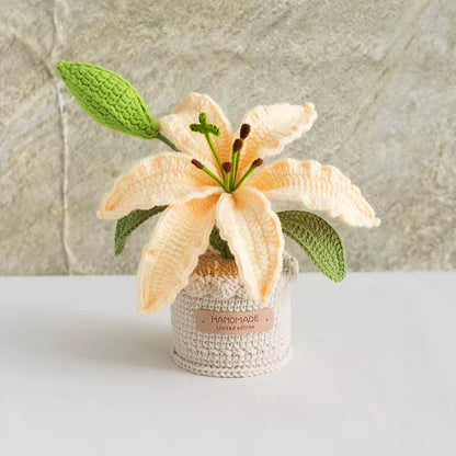 Lys
