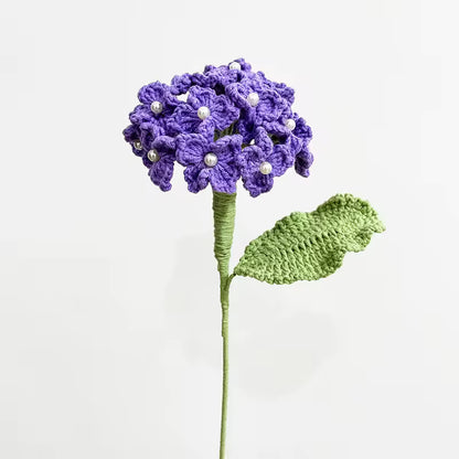 Hortensia