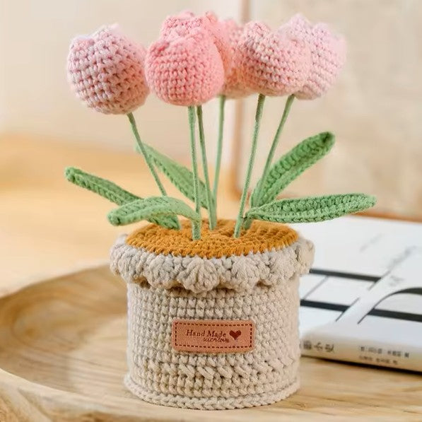 Tulipes