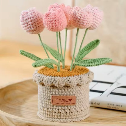 Tulipes
