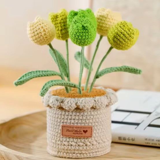 Tulipes