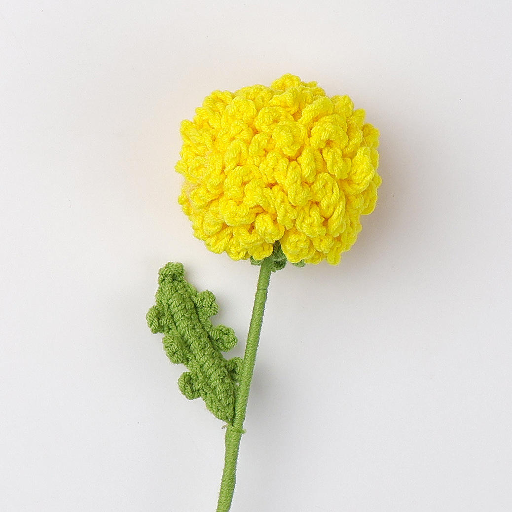 Chrysanthème Pompon