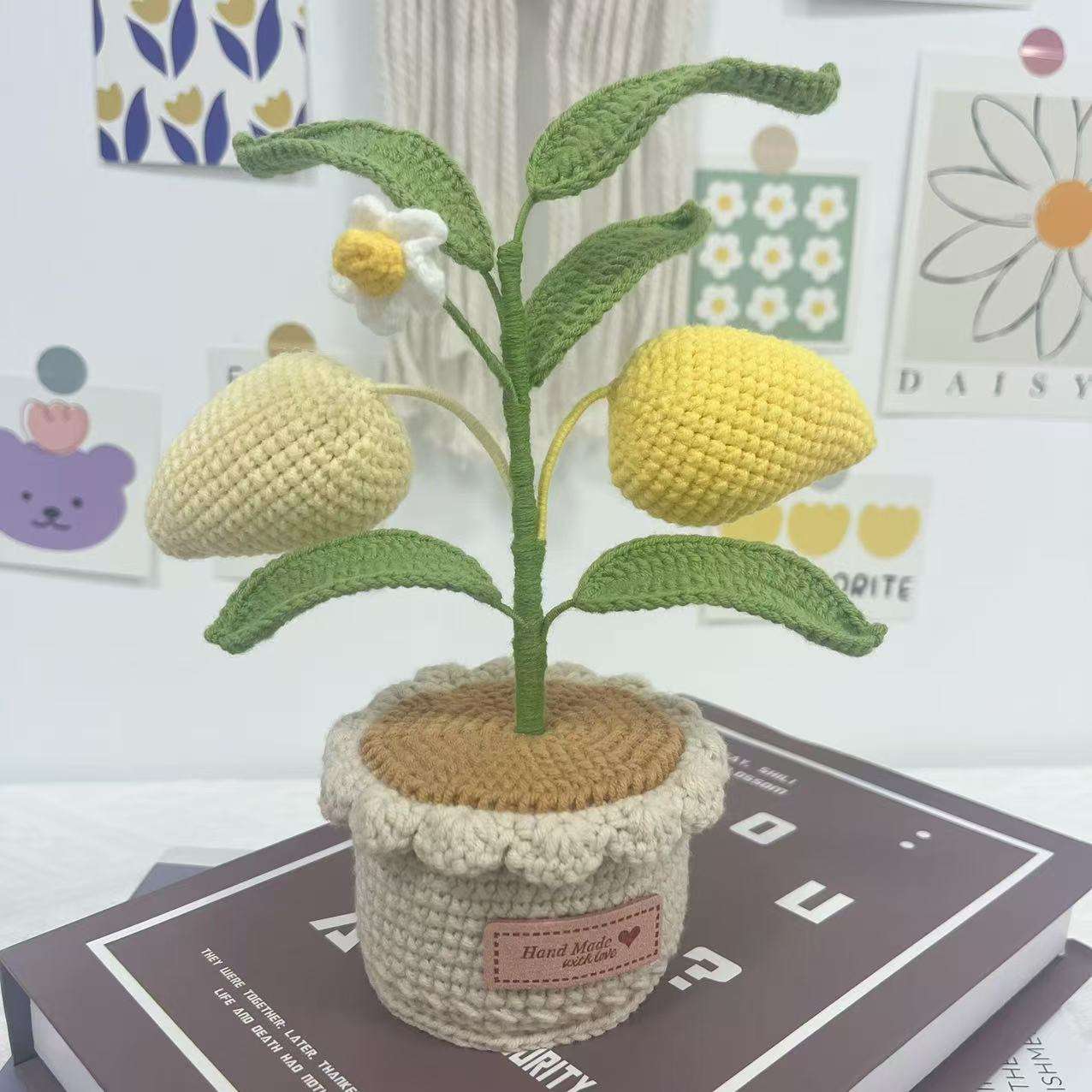 Citronnier