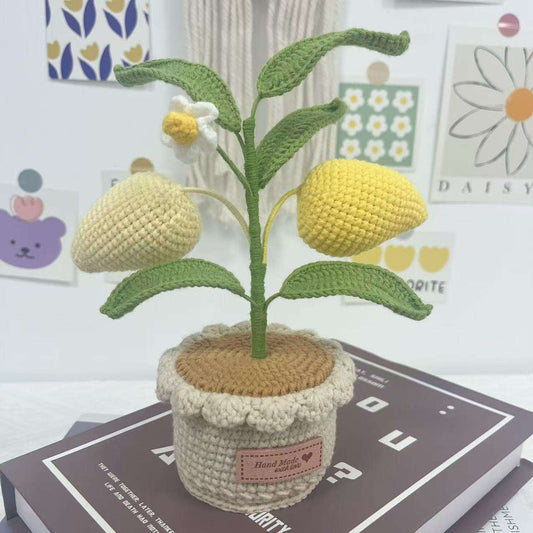 Citronnier