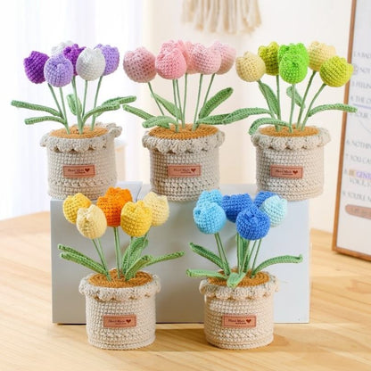 Tulipes