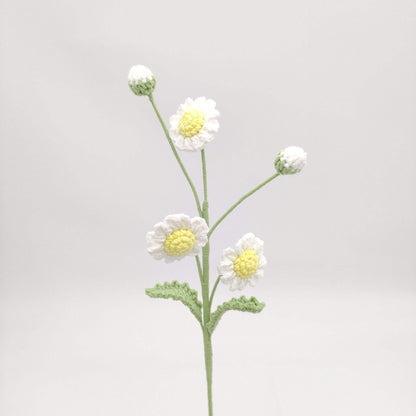 Petites marguerites
