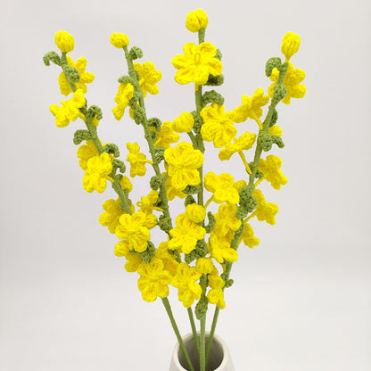 Fleurs de Jasmin d'hiver