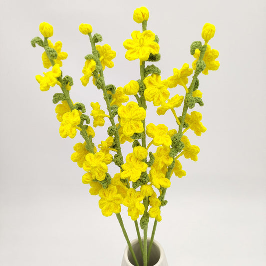 Fleurs de Jasmin d'hiver