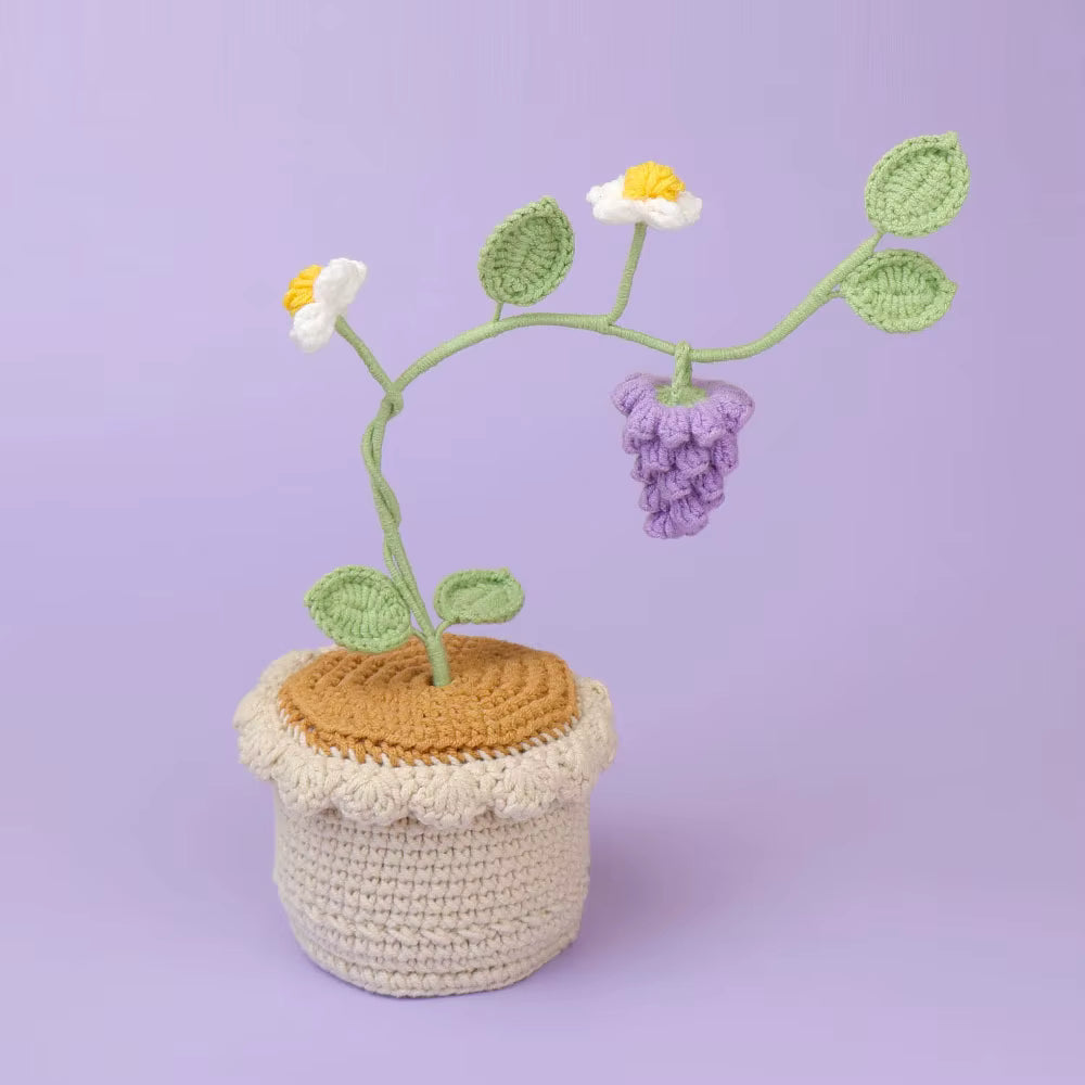 Raisin en crochet