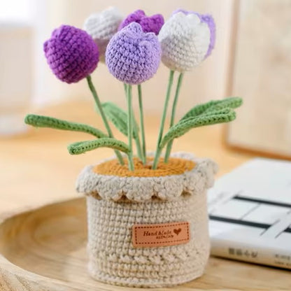 Tulipes