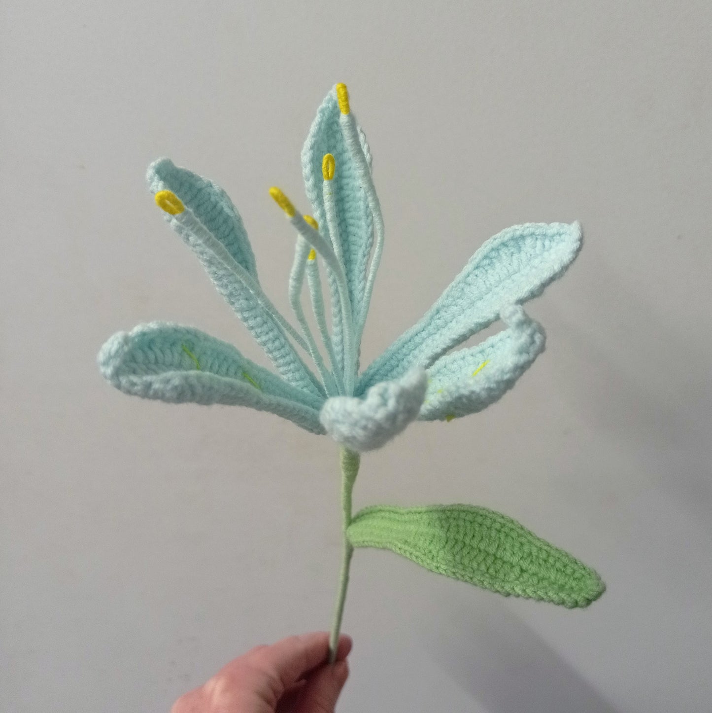 Lys péruvien colorés