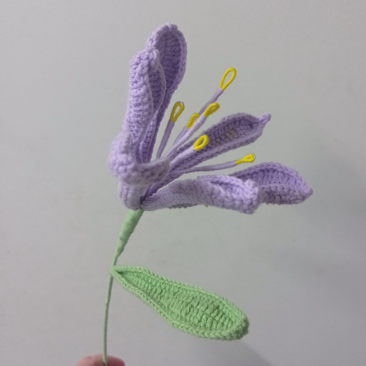 Lys péruvien colorés