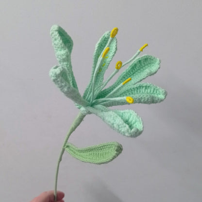 Lys péruvien colorés