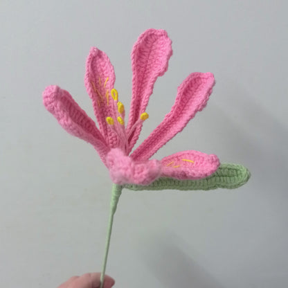 Lys péruvien colorés