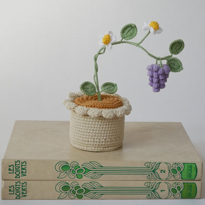 Raisin en crochet