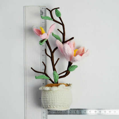Magnolia