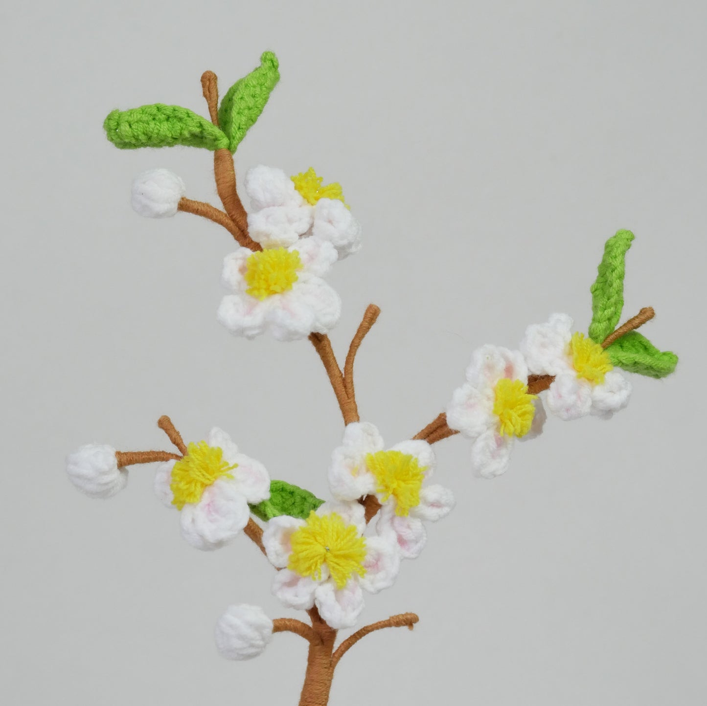 Fleurs de Prunier