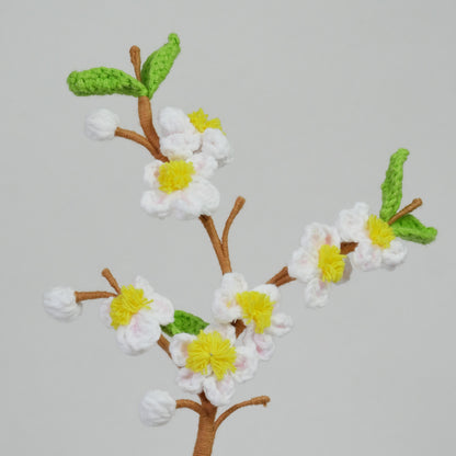 Fleurs de Prunier
