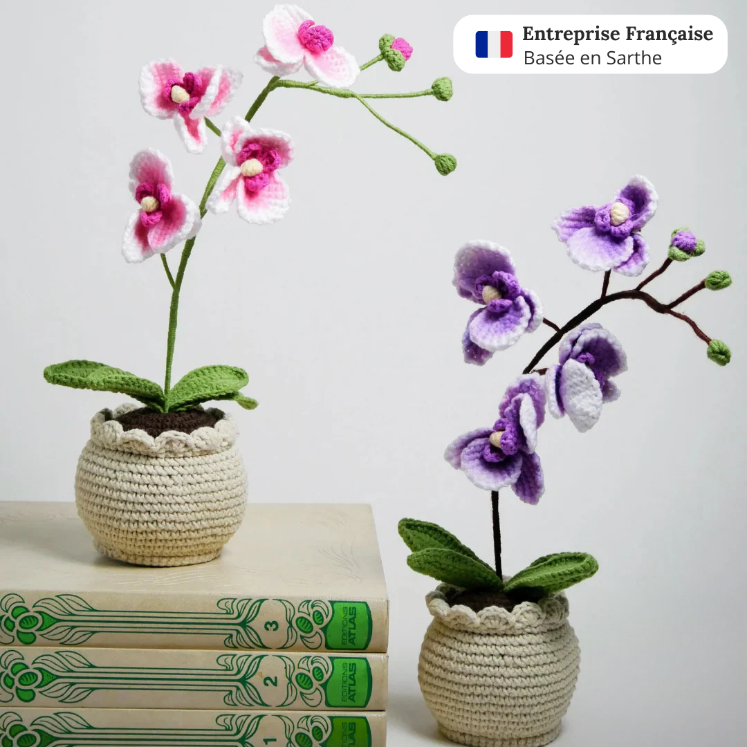 Orchidée en crochet