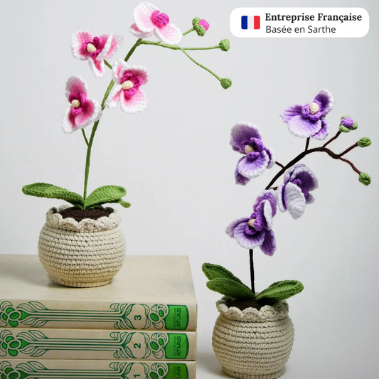 Orchidée en crochet