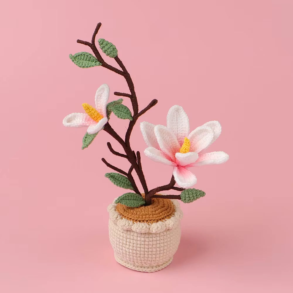 Magnolia