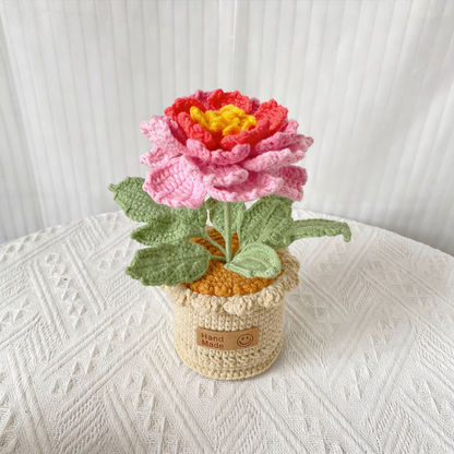Pivoine