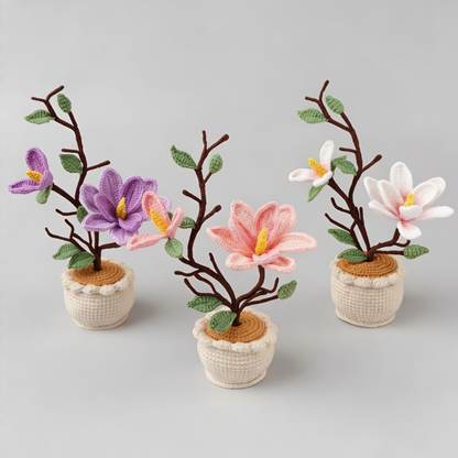 Magnolia