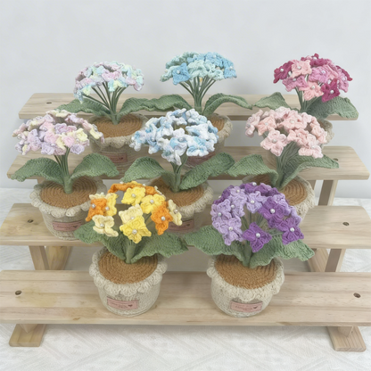 Hortensia