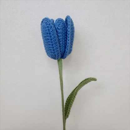 Tulipe