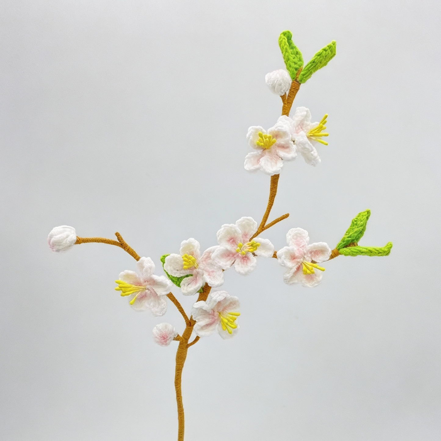 Fleurs de cerisier (sakura)