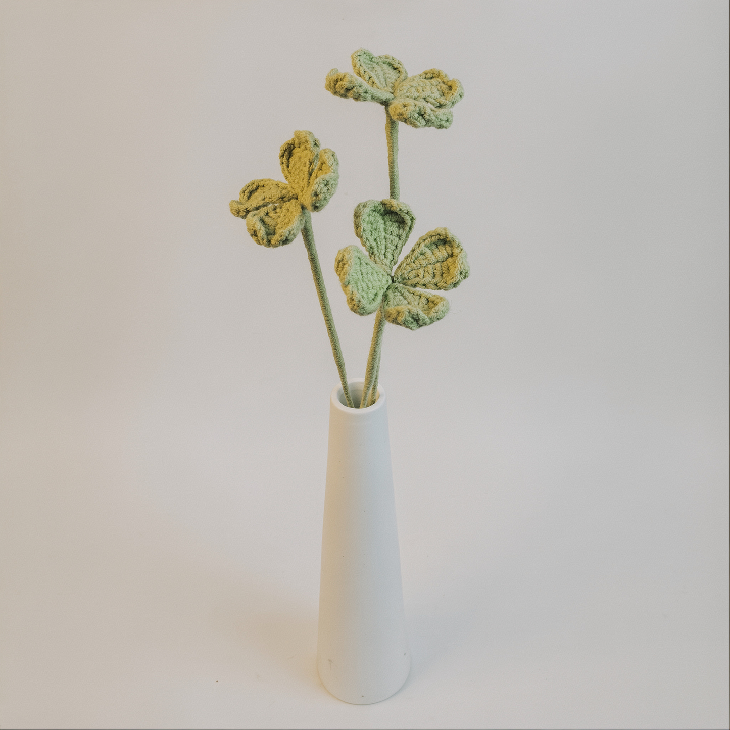 Trèfles à 4 feuilles