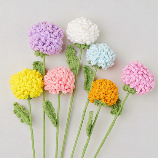 Chrysanthème Pompon